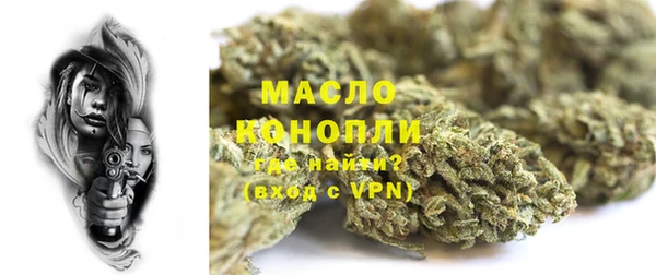сатива Новодвинск