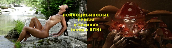 ПСИЛОЦИБИНОВЫЕ ГРИБЫ Бронницы