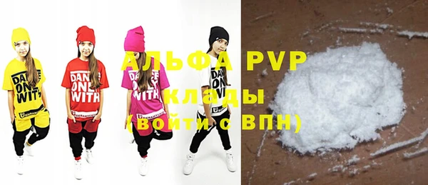 сатива Новодвинск