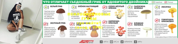 сатива Новодвинск