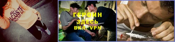 сатива Новодвинск