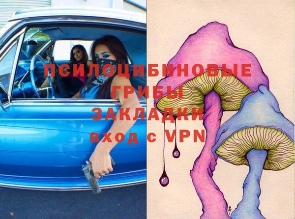 ГАЛЛЮЦИНОГЕННЫЕ ГРИБЫ Бородино