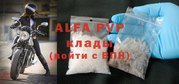 ГАЛЛЮЦИНОГЕННЫЕ ГРИБЫ Бородино
