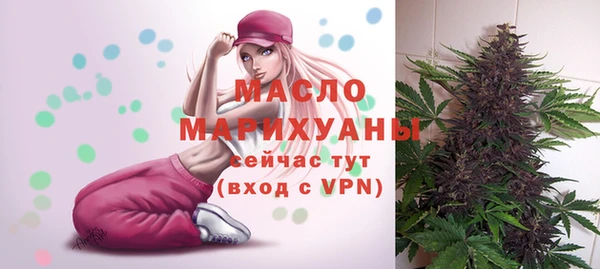 сатива Новодвинск