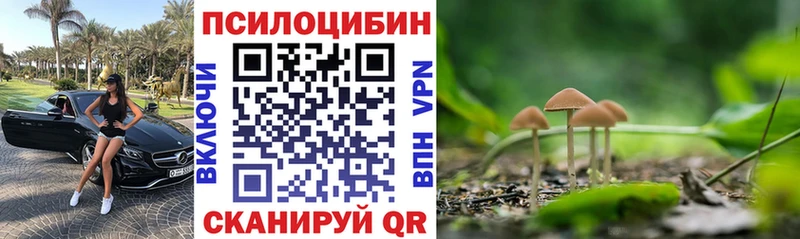 блэк спрут онион  Кувандык  Галлюциногенные грибы Psilocybine cubensis 
