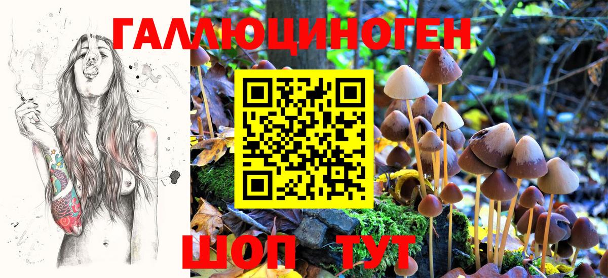 Кувандык  Галлюциногенные грибы прущие грибы  Вход с VPN 