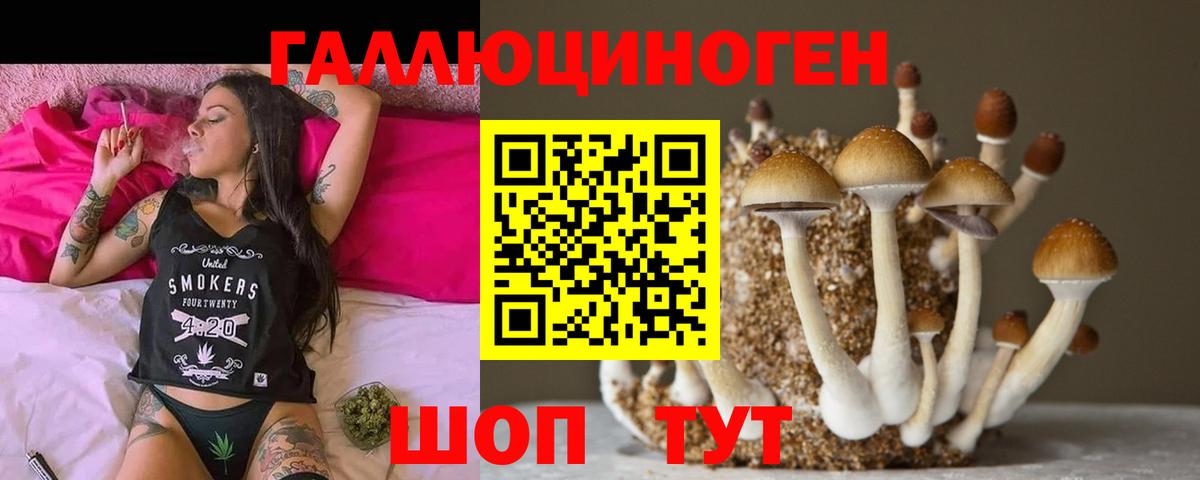 Псилоцибиновые грибы Psilocybe Кувандык